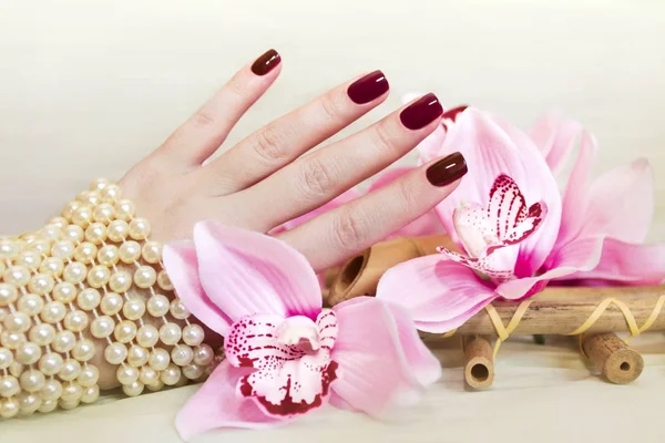 Short maroon manicure. — Stock Photo, Image