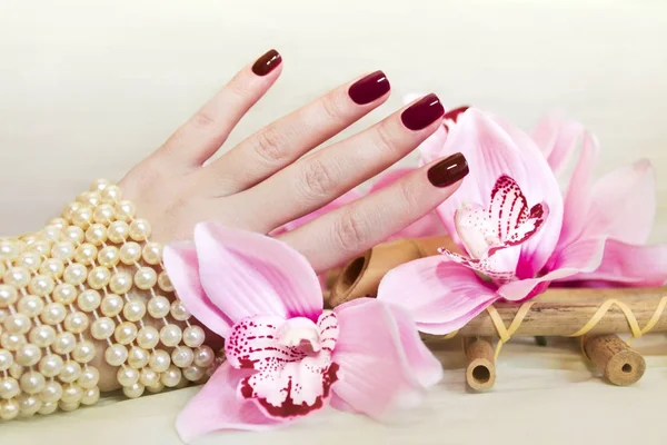 Krótki manicure bordowy. — Zdjęcie stockowe