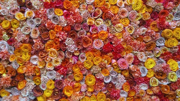 Färgstarka blomsterarrangemang. — Stockfoto