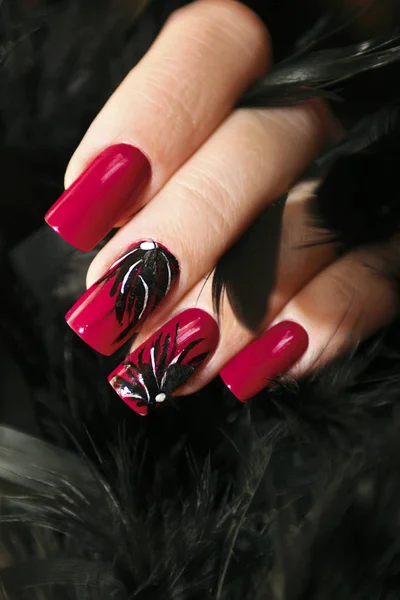 Long Red Nails Design Black Feathers Female Hand Close — Stock Photo, Image