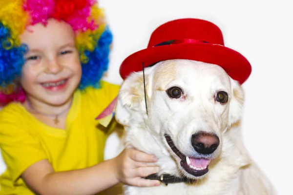 Animal Estimação Doméstico Favorito Menino Roupa Engraçada Braço Braço Rindo — Fotografia de Stock