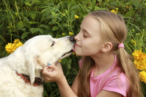 Meninas Comunicação Amigável Com Seu Cão Estimação Favorito Verão Natureza — Fotografia de Stock