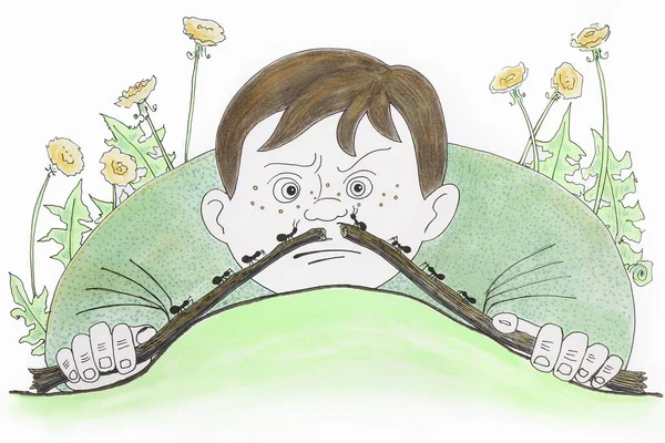 Illustration of a boy watching the movement of ants on a branch on the ground.