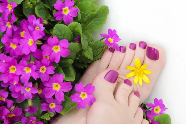 Beautiful Purple Pedicure Women Feet Flowers White Background — Stock Photo, Image