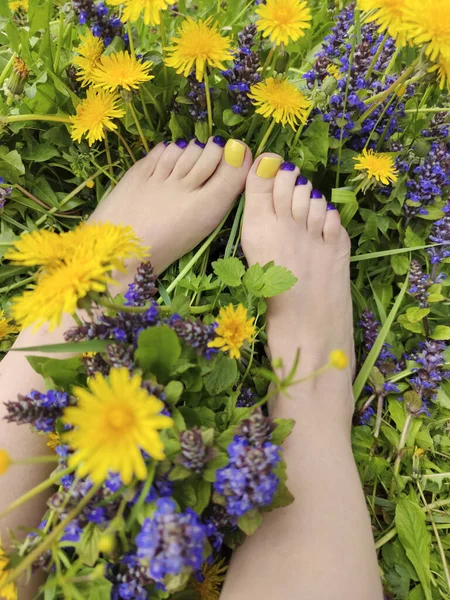 Hermosa Pedicura Multicolor Amarillo Azul Púrpura Los Pies Una Mujer — Foto de Stock