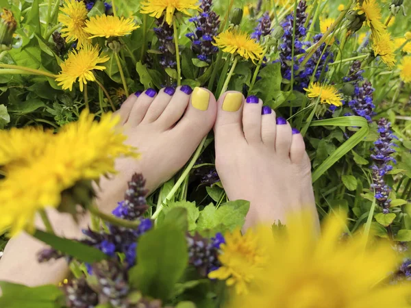 Hermosa Pedicura Multicolor Amarillo Azul Púrpura Los Pies Una Mujer — Foto de Stock