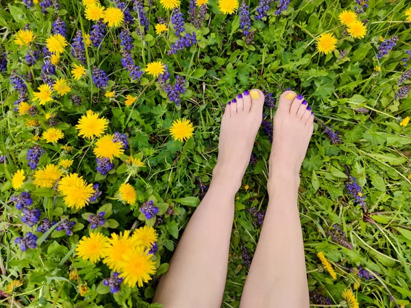 Разноцветные Желтые Синие Фиолетовые Педикюры Женских Ножках Различными Летними Цветками — стоковое фото