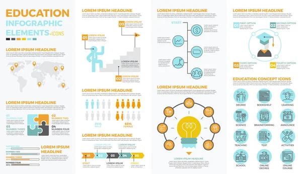 School education infographic elements — Stock Vector