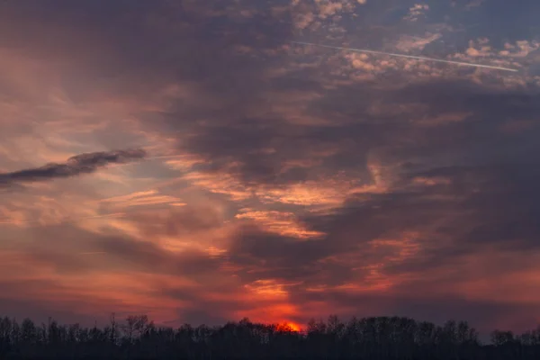 Hermosa Puesta Sol Rosa Sobre Bosque Sendero Desde Avión — Foto de Stock