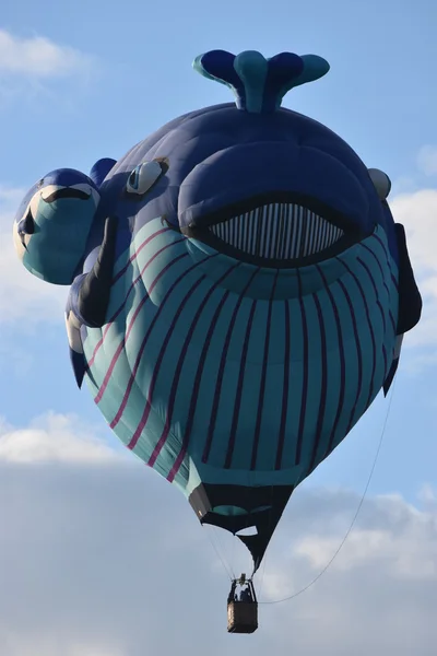 Ballongsläppet i gryningen på festivalen 2016 Adirondack varmluft ballong — Stockfoto