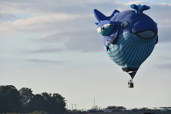 Ballongsläppet i gryningen på festivalen 2016 Adirondack varmluft ballong — Stockfoto