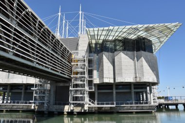 Portekiz'de Lizbon Oceanarium