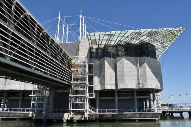 Portekiz'de Lizbon Oceanarium