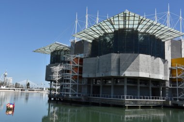 Portekiz'de Lizbon Oceanarium