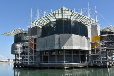 Portekiz'de Lizbon Oceanarium
