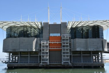 Portekiz'de Lizbon Oceanarium