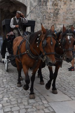 Obidos, Portekiz - Ağustos 24: Şehir Obidos Portekiz'de, 24 Ağustos 2016 üzerinde görüldüğü gibi. İyi korunmuş bir ortaçağ mimarisi örneği kalır; sokakları, meydanları, duvarlar ve onun kale popüler bir turizm vardır.