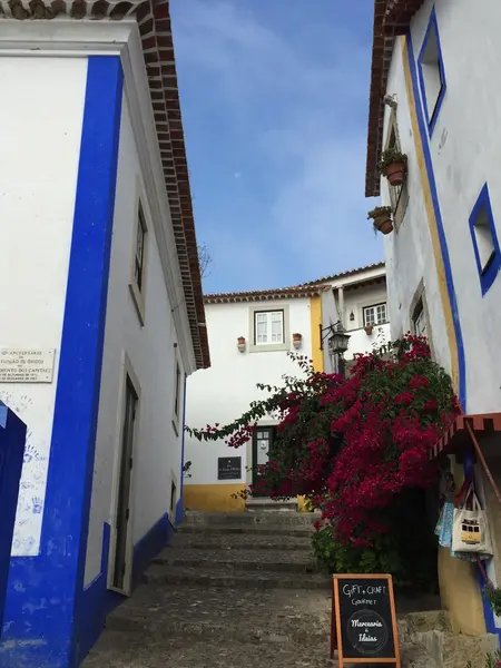 Kasaba Obidos Portekiz — Stok fotoğraf