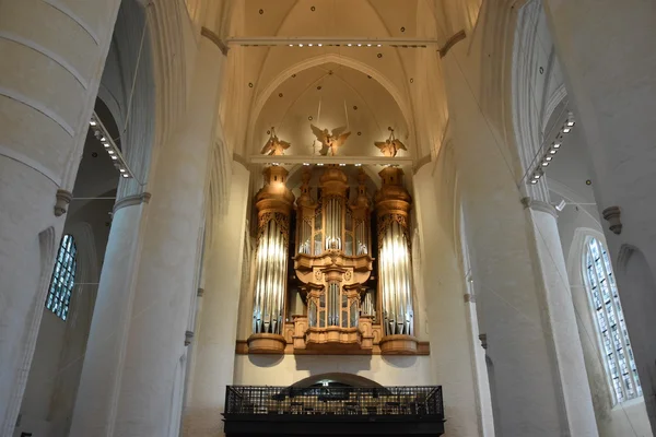 St Catherines Kilisesi Hamburg, Almanya — Stok fotoğraf