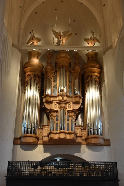 Собор Святої Катерини в Гамбурзі — стокове фото