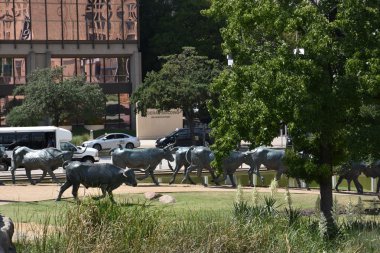 Öncü Plaza Dallas, Texas heykel hayvanların sürücüsü