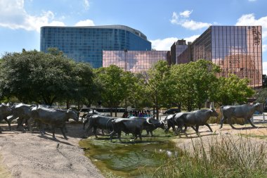 Öncü Plaza Dallas, Texas heykel hayvanların sürücüsü