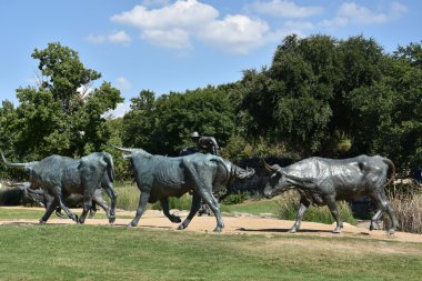 Öncü Plaza Dallas, Texas heykel hayvanların sürücüsü