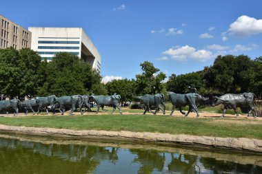 The Cattle Drive Sculpture at Pioneer Plaza in Dallas, Texas clipart