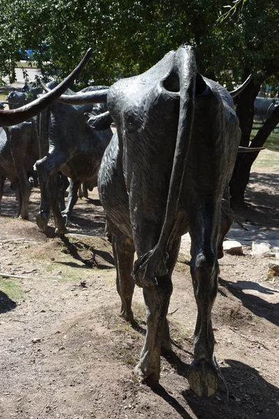 The Cattle Drive Sculpture at Pioneer Plaza in Dallas, Texas — Stock Photo, Image