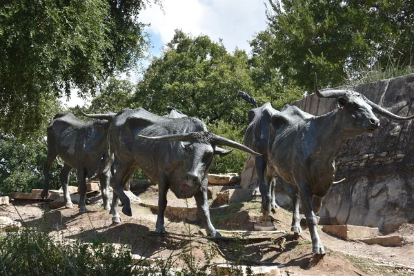 The Cattle Drive Sculpture at Pioneer Plaza in Dallas, Texas — Stock Photo, Image