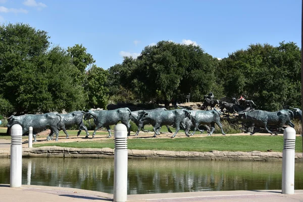 The Cattle Drive Sculpture at Pioneer Plaza in Dallas, Texas — Stock Photo, Image