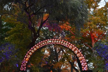 Hudson'da Croton-on-New York'ta büyük Jack O'Lantern Blaze