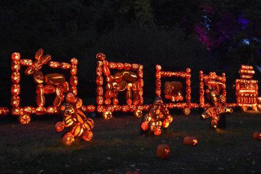 Hudson'da Croton-on-New York'ta büyük Jack O'Lantern Blaze