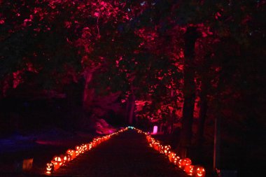 Hudson'da Croton-on-New York'ta büyük Jack O'Lantern Blaze