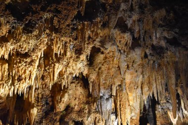 Luray mağaraları Virginia