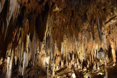 Luray mağaraları Virginia