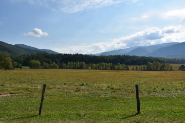 Büyük Smoky Dağları Milli Parkı Tennessee