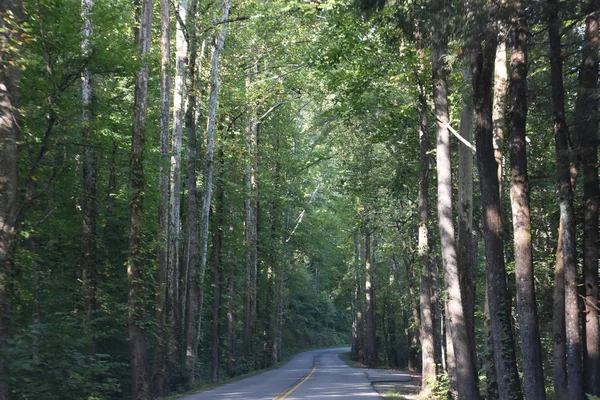 Nationalpark große rauchige Berge im Tennessee — Stockfoto