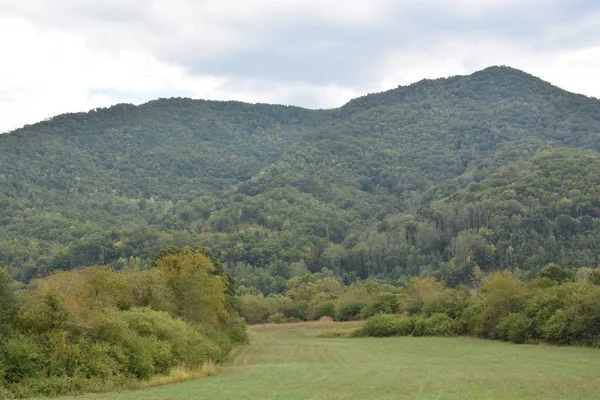 Parc national des monts Great Smoky — Photo