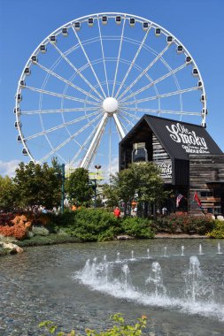 Adanın Pigeon Forge, Tennessee direksiyonda büyük dumanlı dağ