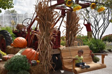 PIGEON Forge, TN-OCT 3: 3 Ekim 2016 'da görüldüğü gibi Tennessee, Pigeon Forge' daki Ada.