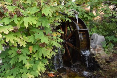 CHATTANOGA TN - 4 Ekimde görüldüğü gibi Chattanooga, Tennessee 'deki Rock City Gardens.