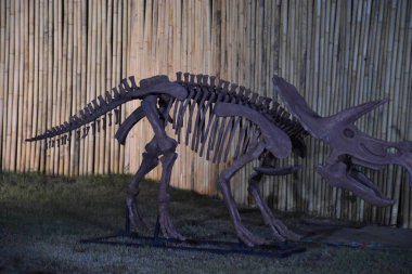 Dubai, Birleşik Arap Emirlikleri Dubai Bahçe kızdırma parkında dinozor