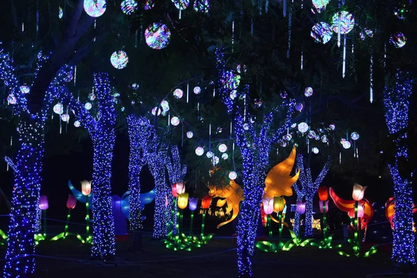 Dubai Garden Glow em Dubai, Emirados Árabes Unidos — Fotografia de Stock