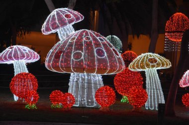 Dubai, Birleşik Arap Emirlikleri Dubai Bahçe kızdırma