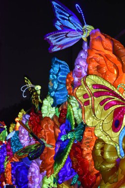 Dubai, Birleşik Arap Emirlikleri Dubai Bahçe kızdırma