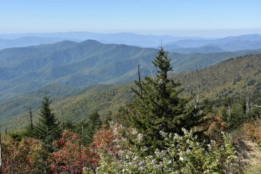 Clingmans Dome büyük Smoky Dağları Milli Parkı içinde