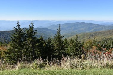 Clingmans Dome büyük Smoky Dağları Milli Parkı içinde