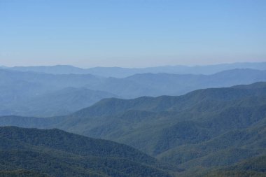 Clingmans Dome büyük Smoky Dağları Milli Parkı içinde