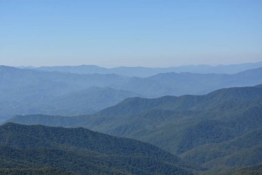 Clingmans Dome büyük Smoky Dağları Milli Parkı içinde